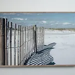 Bayshore Breeze 6