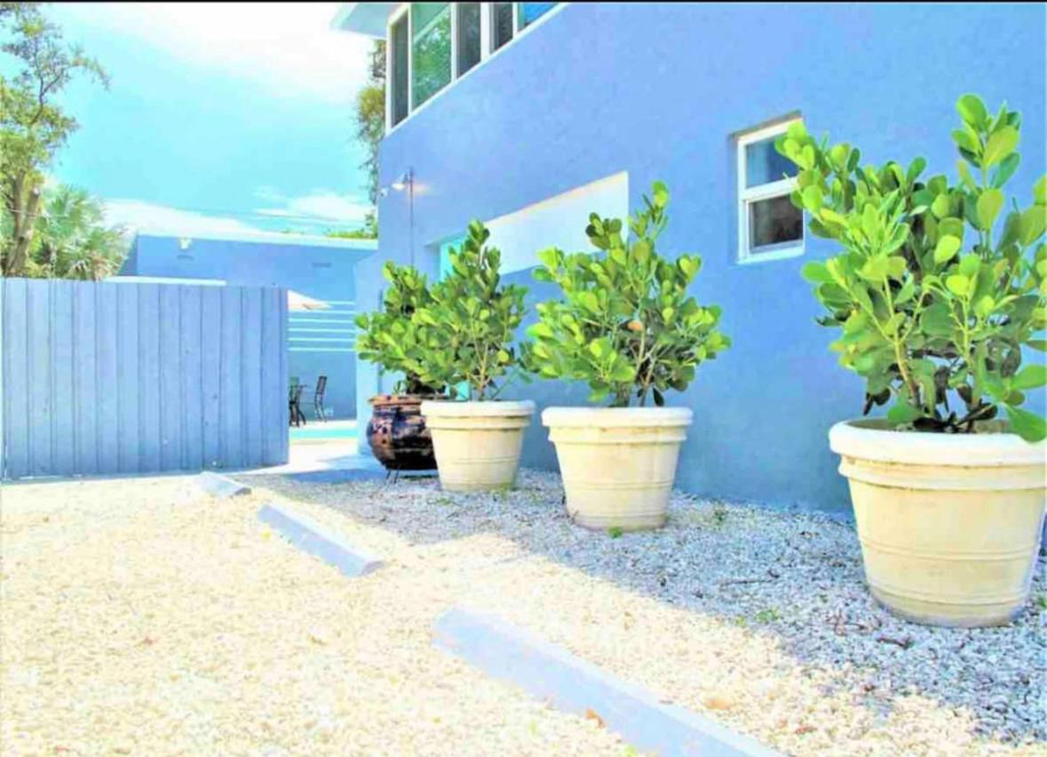 Apartment Olas Oasis, Pool, Parking, And Cozy! Fort Lauderdale