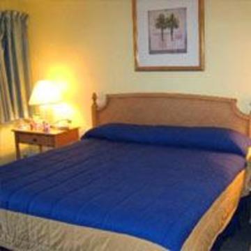 Avalon Waterfront Hotel Fort Lauderdale
