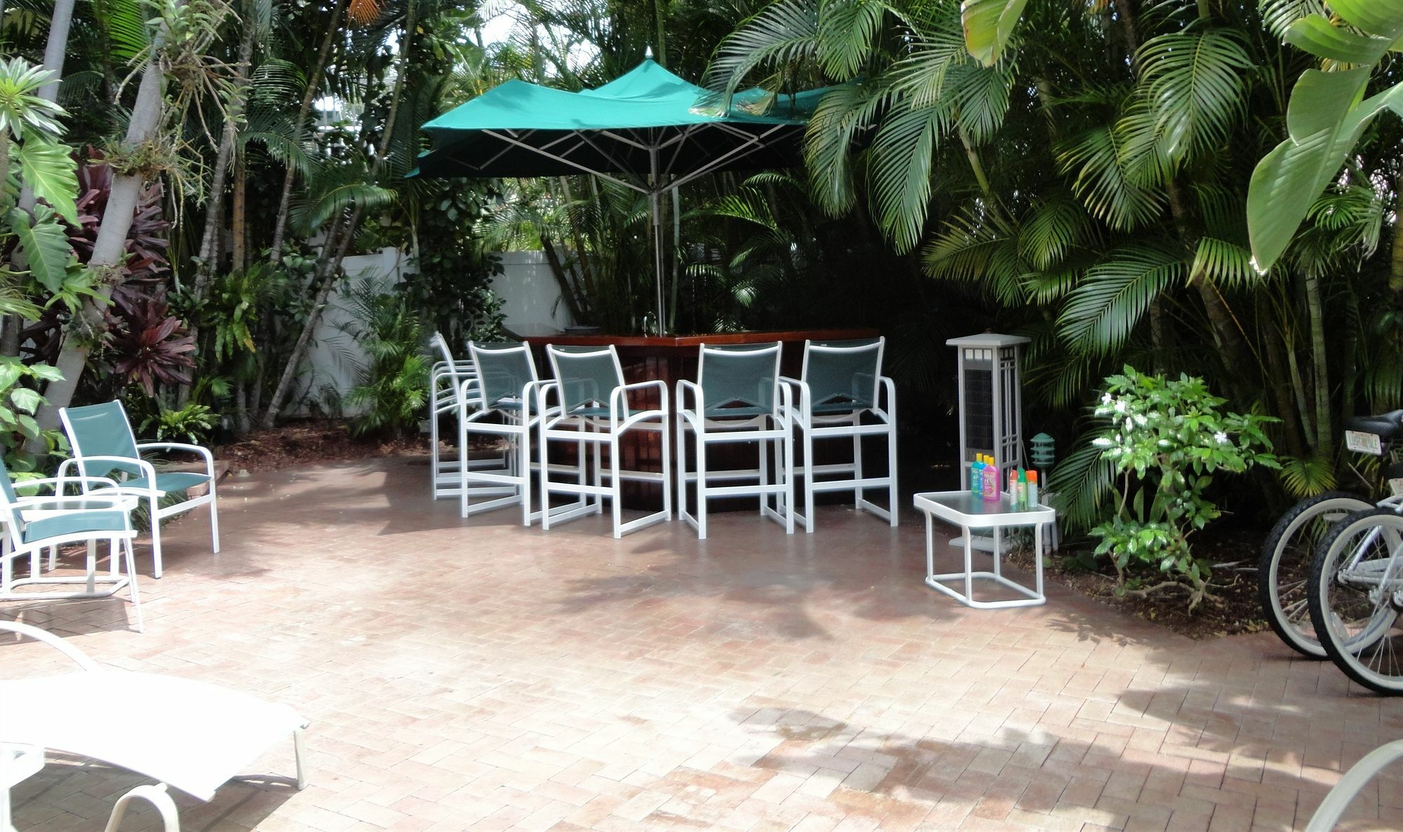 Lush Royale - Gay Men's Hotel Fort Lauderdale