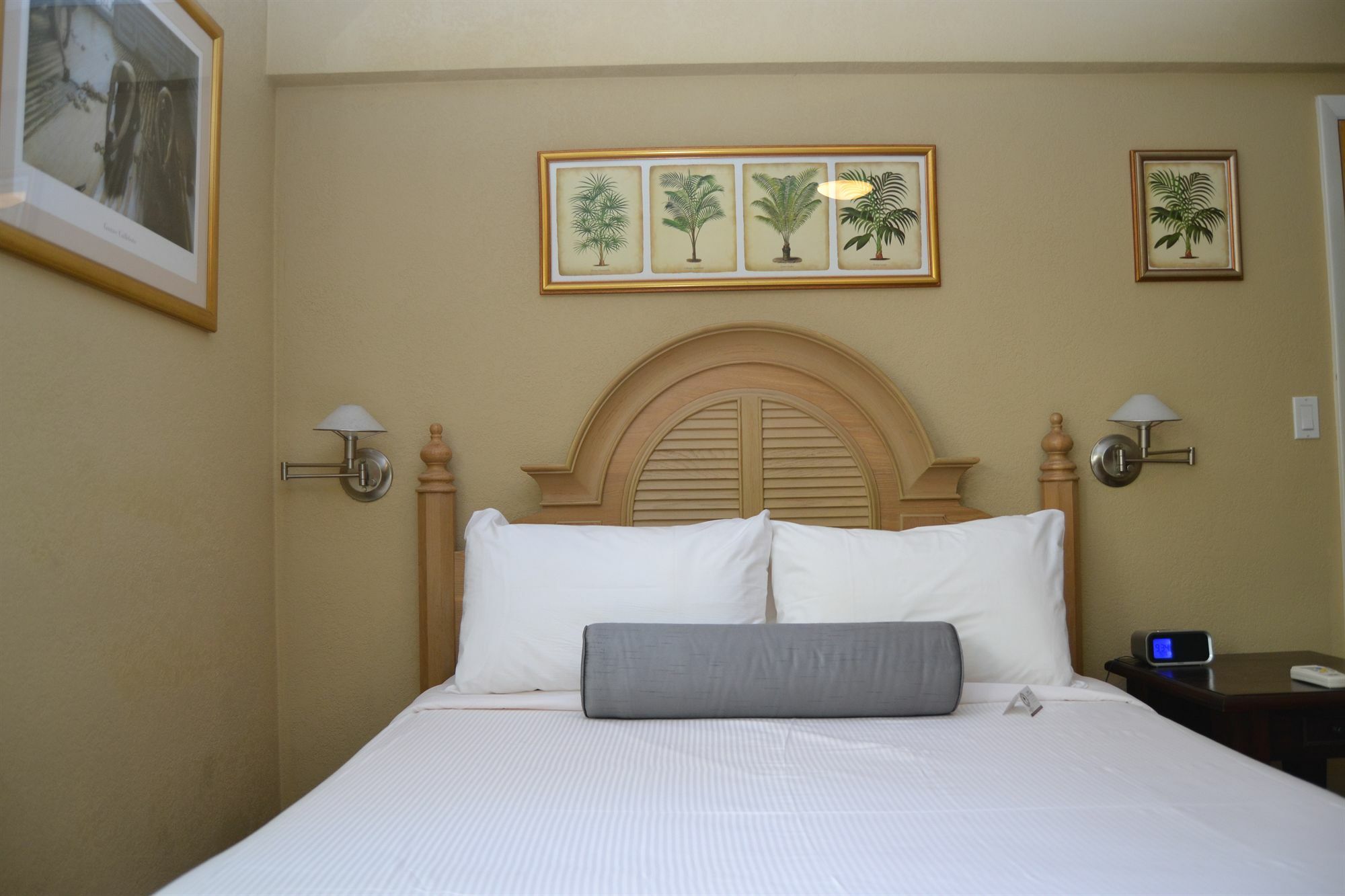 Hotel Lush Royale - Gay Men's Fort Lauderdale