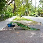 Peacock Villa 2 By Pmi