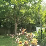 Apts With Backyard Near Fort Lauderdale Beach, Nightlife, Cruise Port, Airport