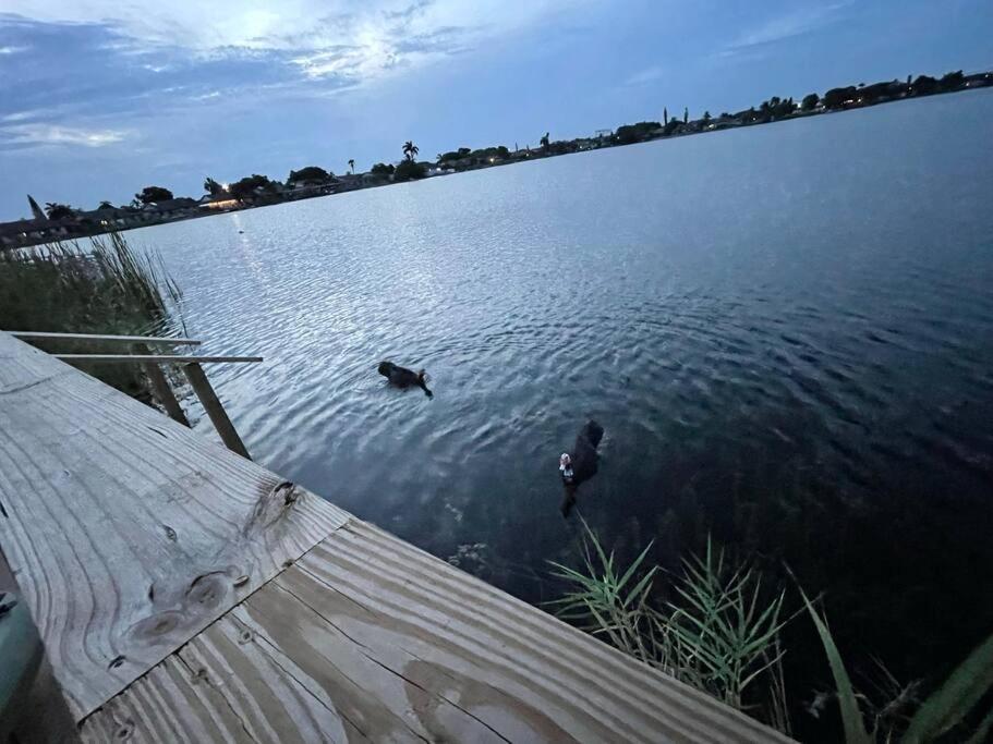 Supervilla - Lakefront - Sunsets, Kayaks, Grill *