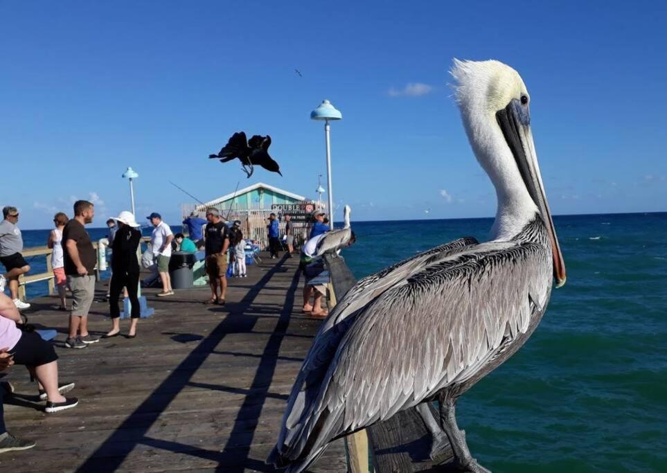 Lauderdale * Fort Lauderdale