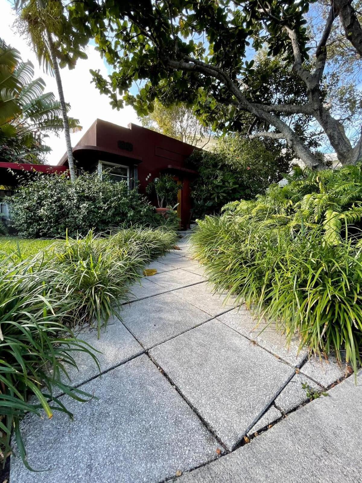 Delight And Cozy Close To Olas & The
