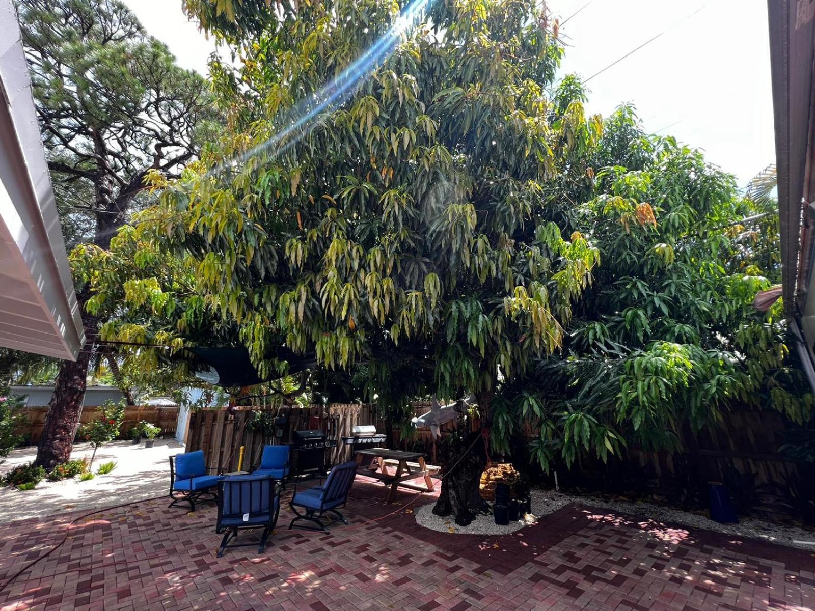 Apartment Sandy Shore *5 Min To Beach* Fort Lauderdale