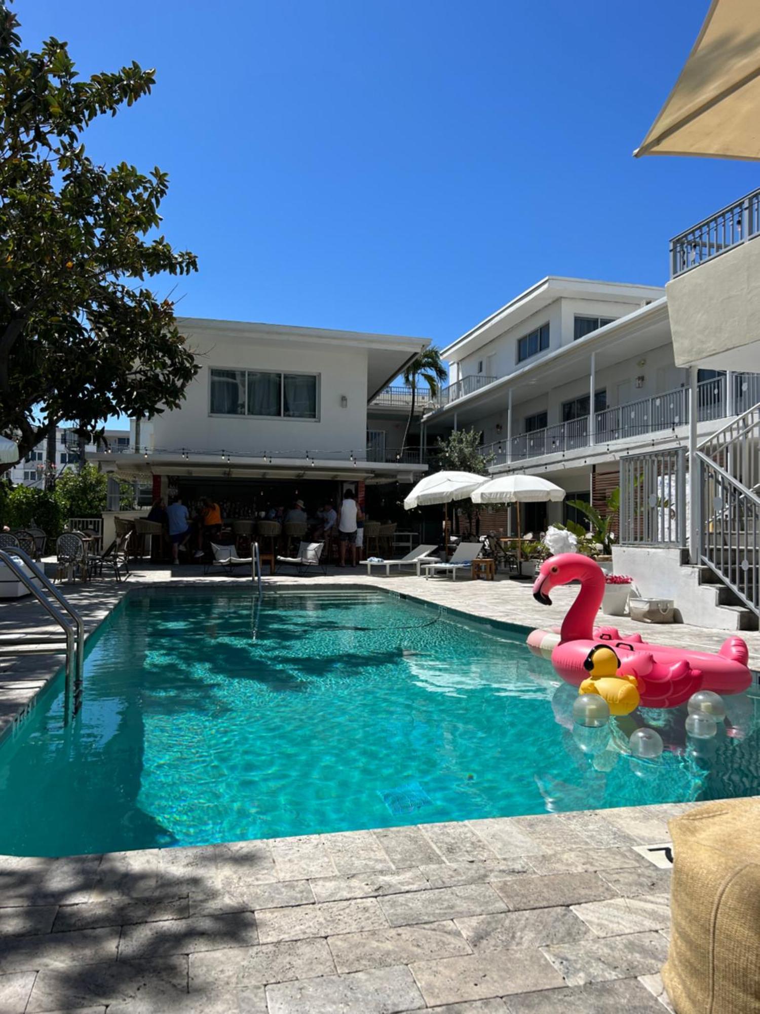 Royal Palms &