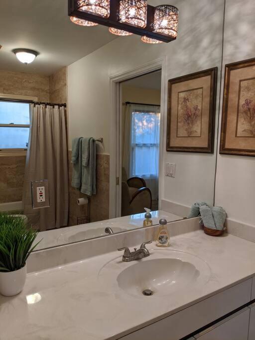 Spacious House In Lauderdale - Minutes From *