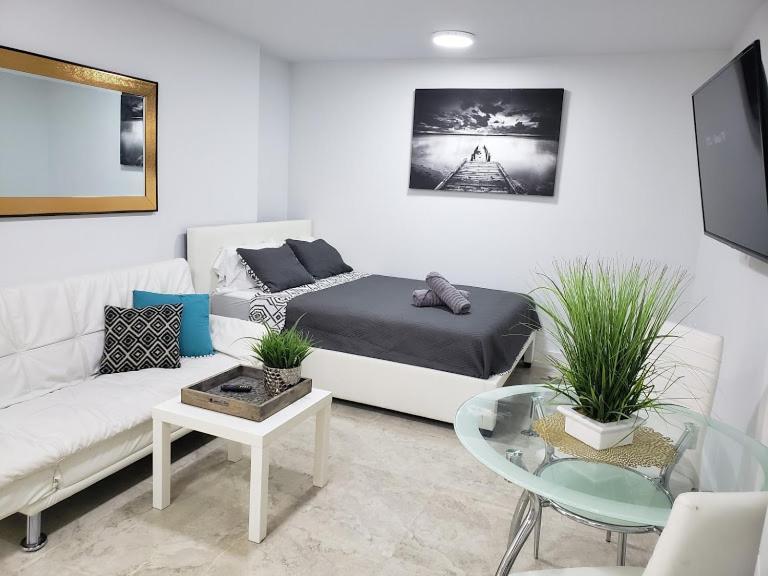 Apts With Backyard Near Lauderdale Beach, Nightlife, Cruise Port, Airport Fort Lauderdale