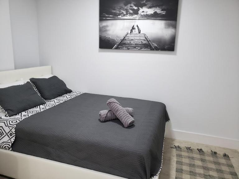 Apts With Backyard Near Lauderdale Beach, Nightlife, Cruise Port, Airport