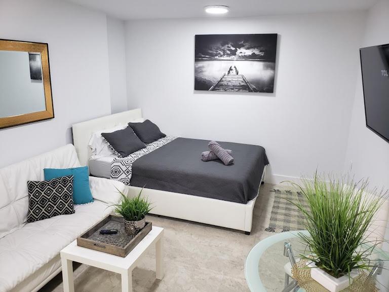 Apts With Backyard Near Lauderdale Beach, Nightlife, Cruise Port, Airport Fort Lauderdale