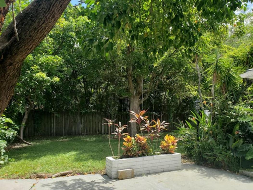 Apts With Backyard Near Lauderdale Beach, Nightlife, Cruise Port, Airport Apartment