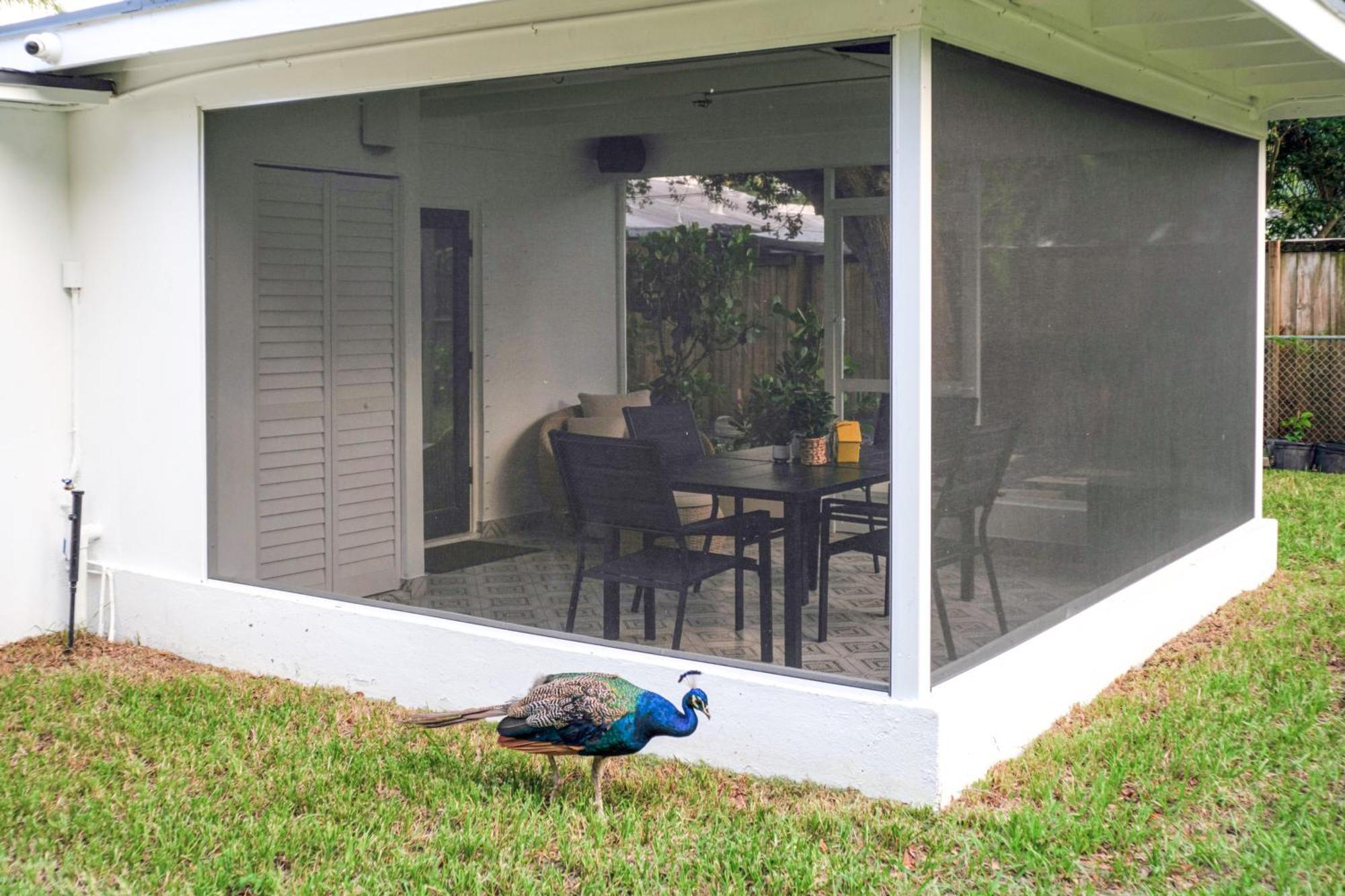 Holiday home The Peacock Near Lauderdale Beach! *