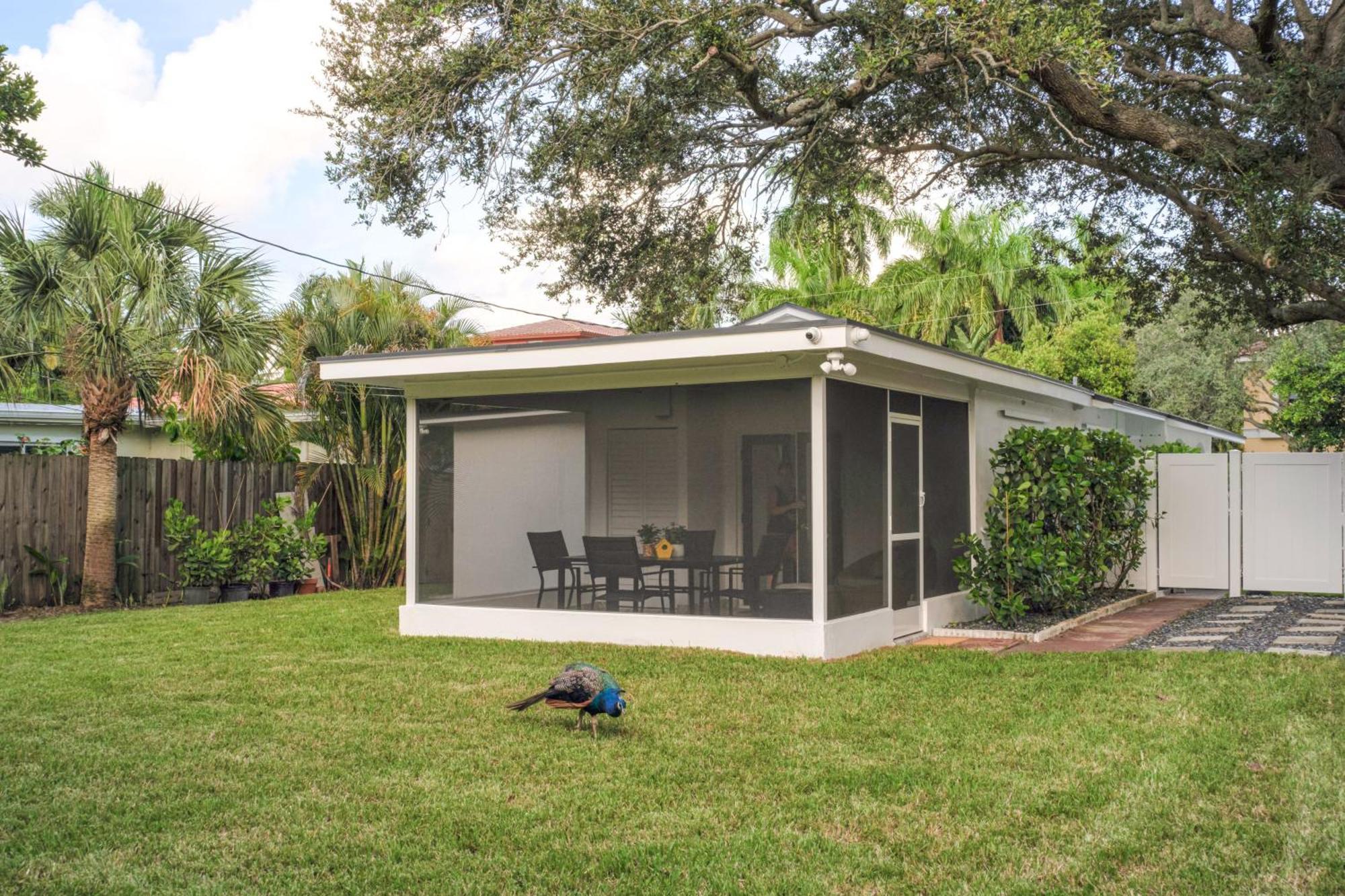 The Peacock Near Lauderdale Beach! Holiday home Fort Lauderdale