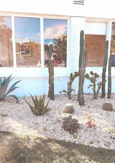 Cozy House, Sleeps 4, Close To Beach, Airport Fort Lauderdale