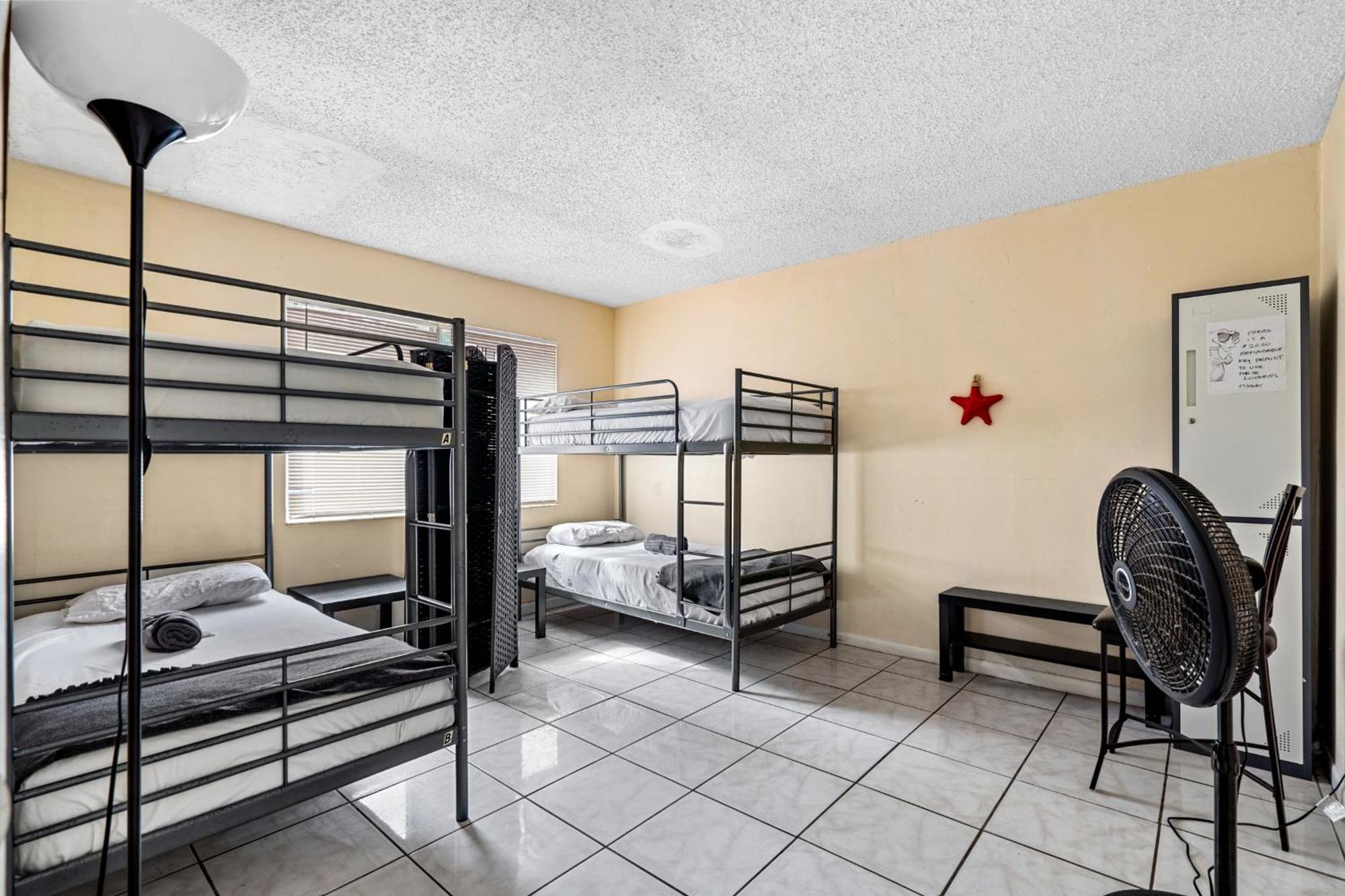 Crocodhouse Early Check In Eight Years Hosting Hostel *