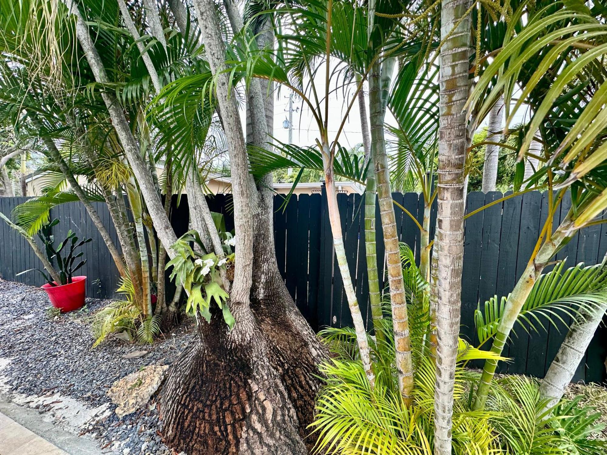 Poolside Manor - Men Only Clothing-optional Guest house *