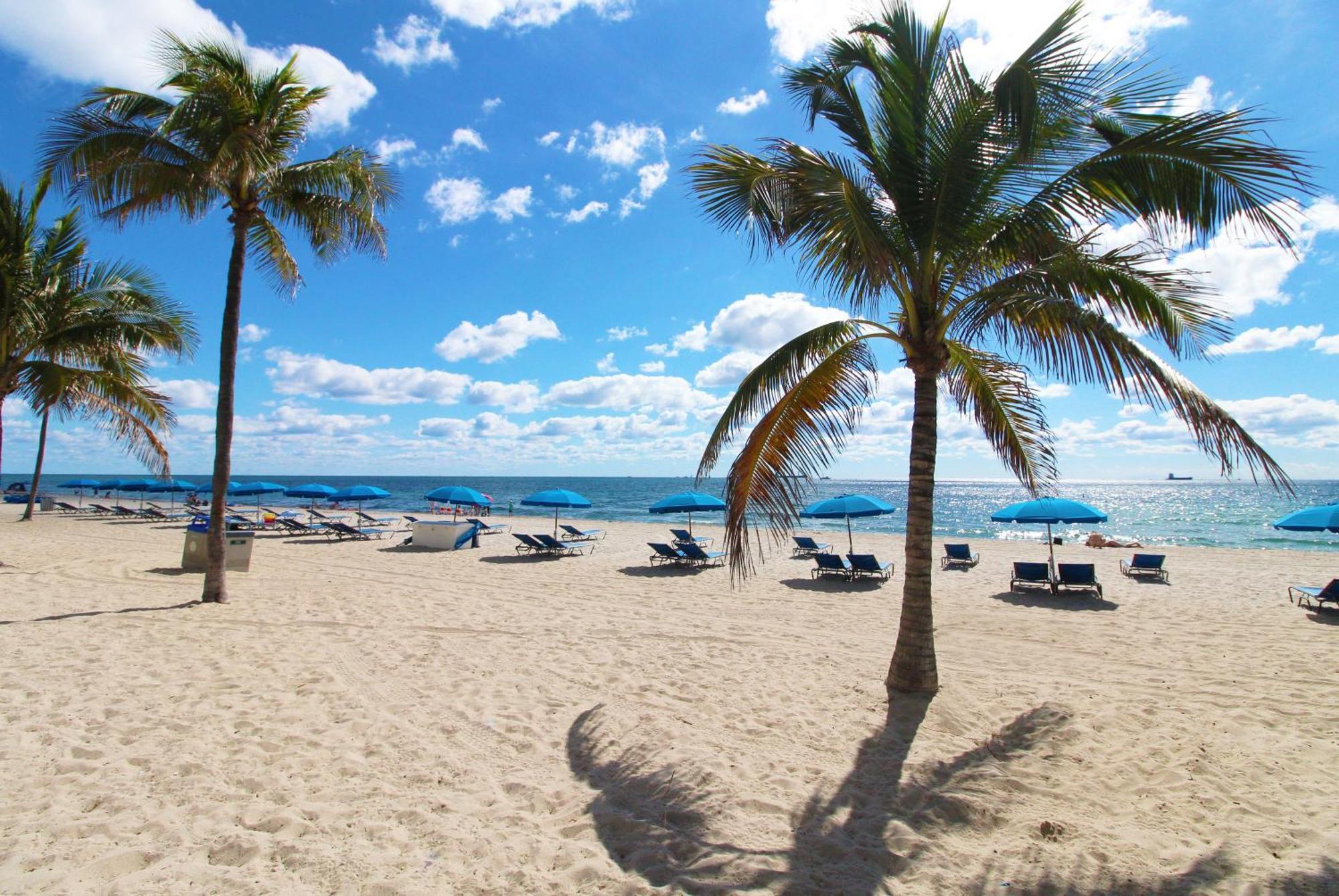 By The King Bed Lush Patio W Bbq Breakers Key Five H0mes Apartment Fort Lauderdale