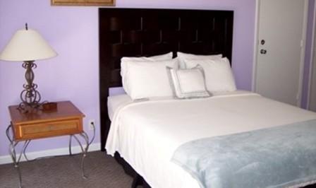 Hotel Cheston House - Clothing Optional Male Fort Lauderdale