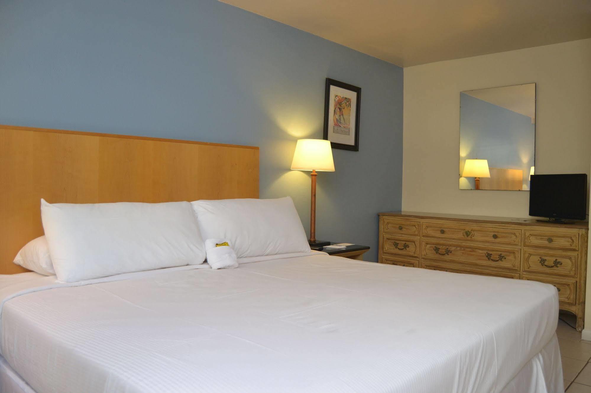 Elysium - Clothing Optional Gay Men's (adults Only) Hotel Fort Lauderdale