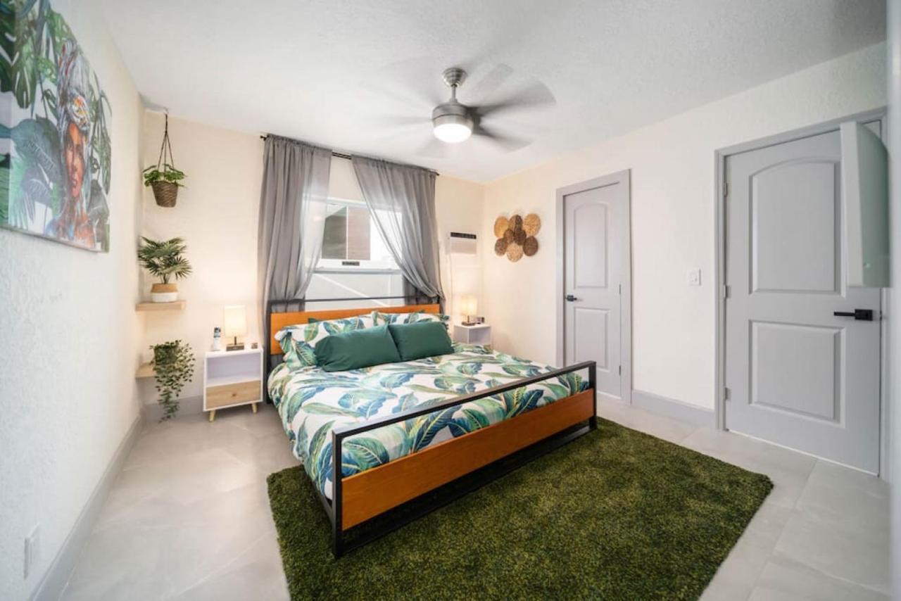 Newly Renovated Tropical Oasis Near Olas Apartment *