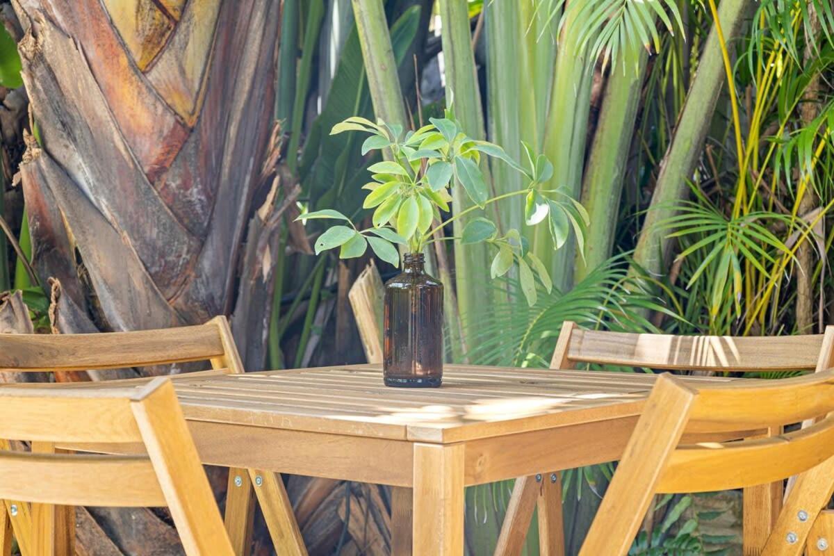 Delight And Cozy Close To Olas & The *