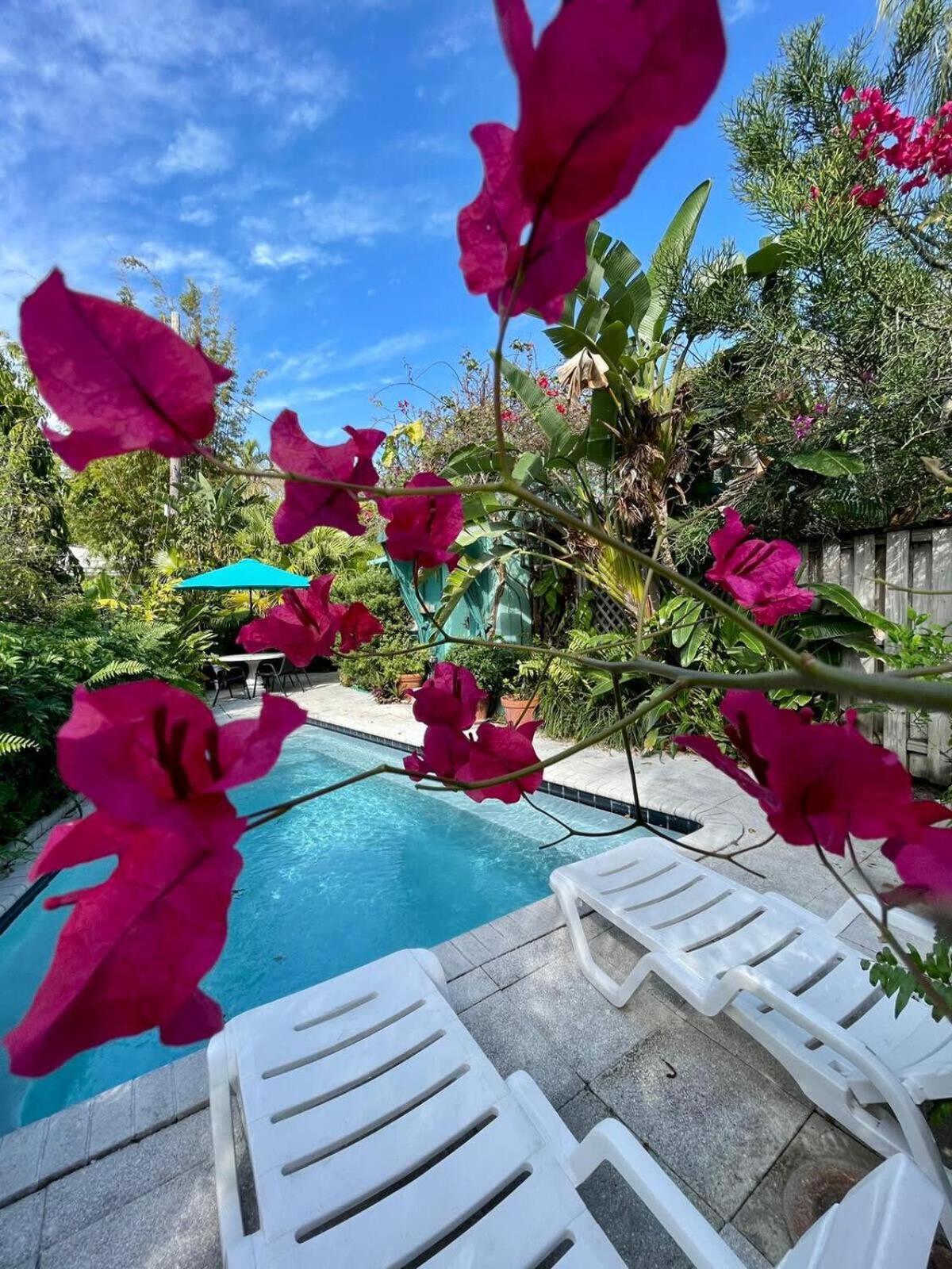 Holiday home Delight And Cozy Close To Olas & The *