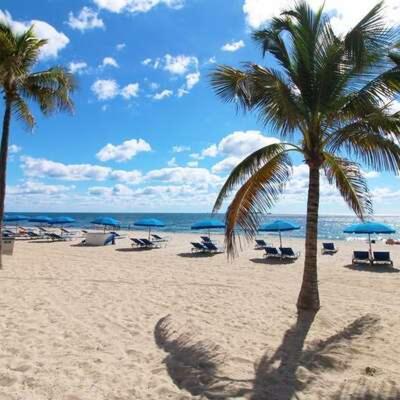 By The King Bed Lush Patio W Bbq Breakers Key Six H0mes Fort Lauderdale