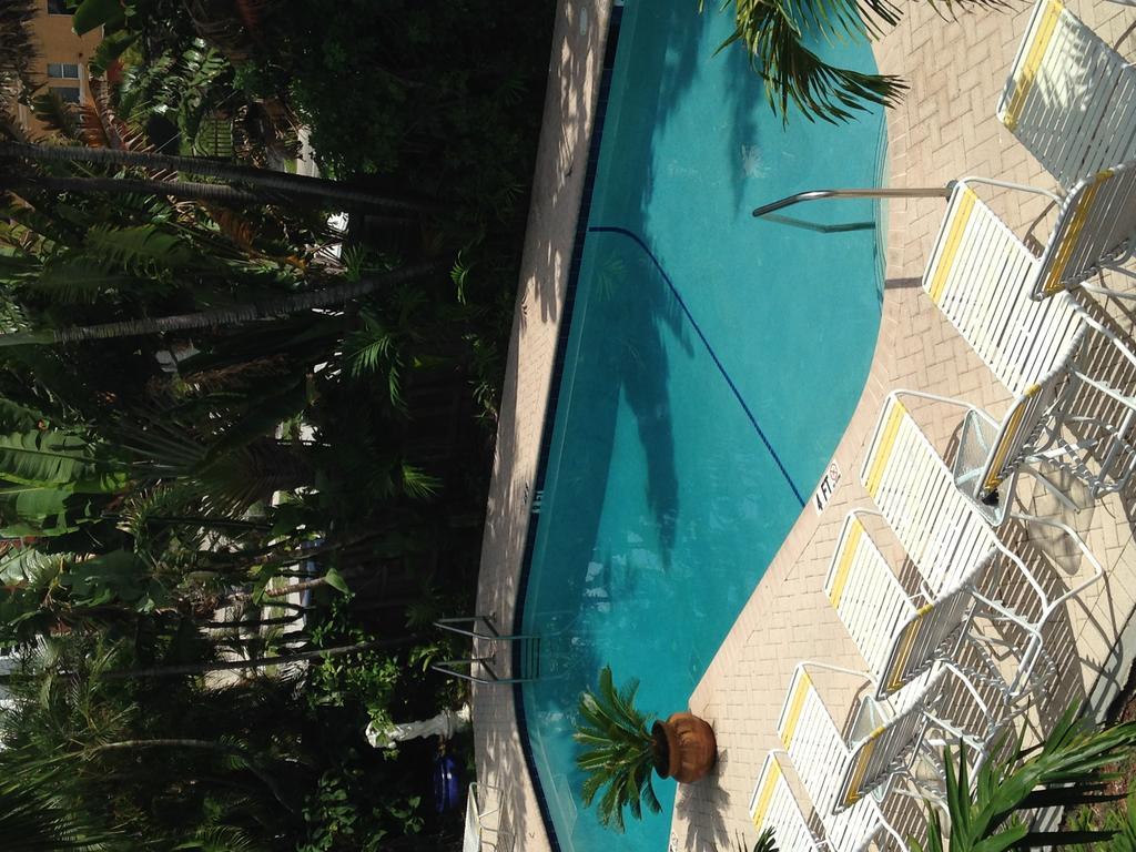 Cheston House - Clothing Optional Male Hotel