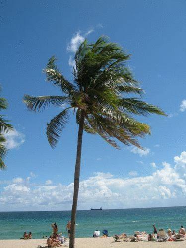 Hotel Seaside Fort Lauderdale