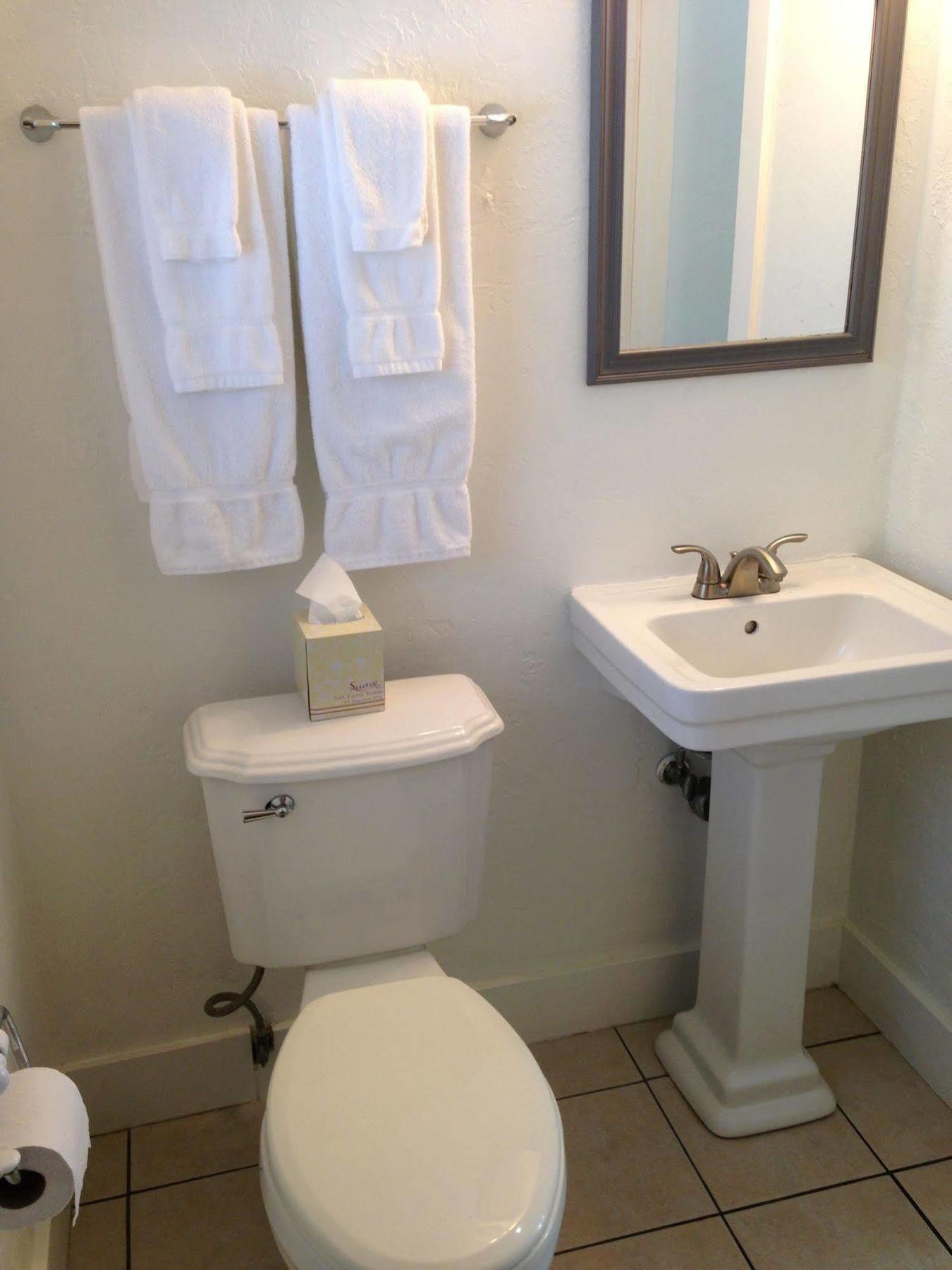 Hotel Cheston House - Clothing Optional Male